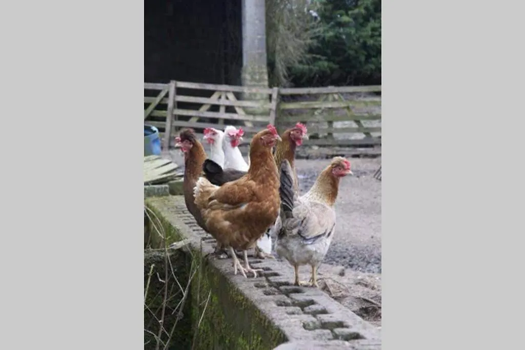 Prázdninový dům Stones Cottage Farm, Nr Haworth, Family Friendly, Work Friendly, Gaming Barn, Crafting, Free Wifi, Free Parking, Ev Point Oxenhope