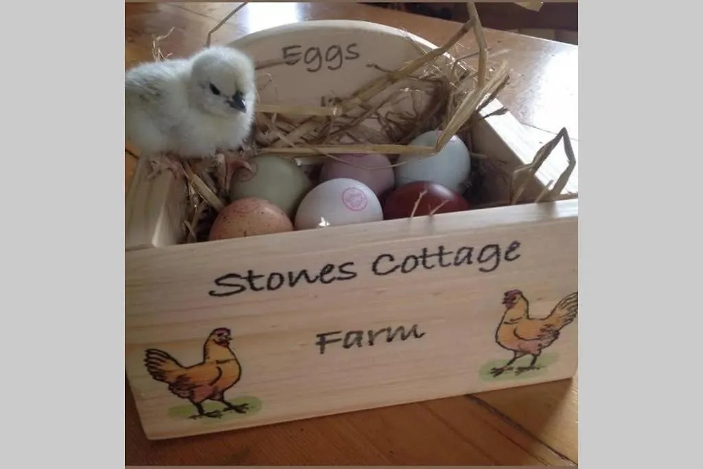Stones Cottage Farm, Nr Haworth, Family Friendly, Work Friendly, Gaming Barn, Crafting, Free Wifi, Free Parking, Ev Point Oxenhope